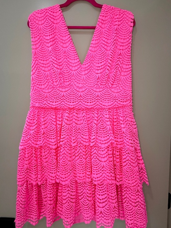 Lilly Pulitzer Dresses & Skirts - Lilly Pulitzer Hot Pink Lace Dress Size XL